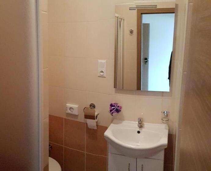 デラックスルーム, Penzion Maja