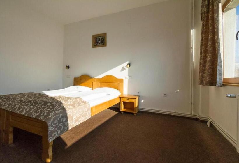 غرفة قياسية, Pensiunea Aron 2