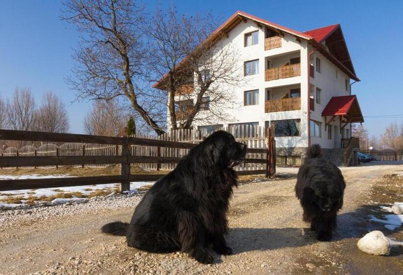 غرفة قياسية, Pensiunea Aron 2