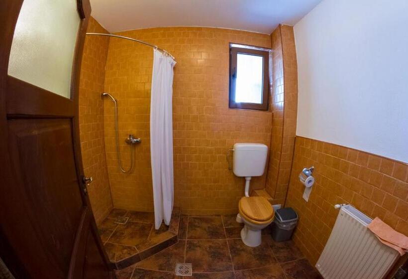 غرفة قياسية, Pensiunea Aron 2