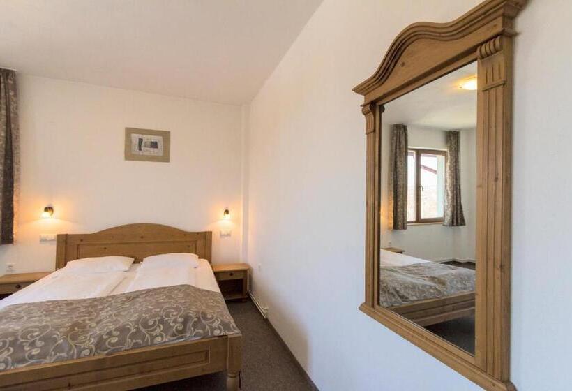 غرفة قياسية, Pensiunea Aron 2