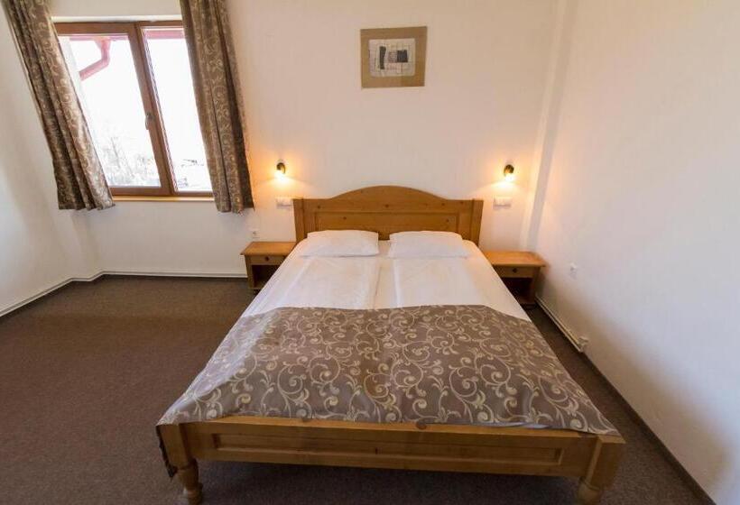 غرفة قياسية, Pensiunea Aron 2