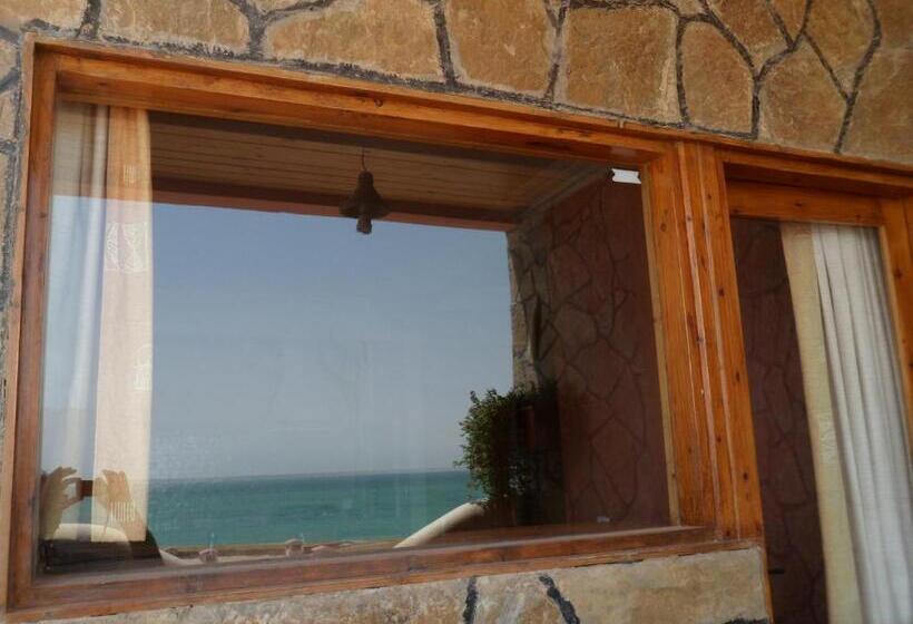 إستوديو قياسى مزودة بتراس, Dar Rio Oro