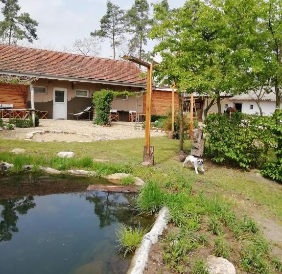 ガーデンビューファミリールーム, Lazy Days