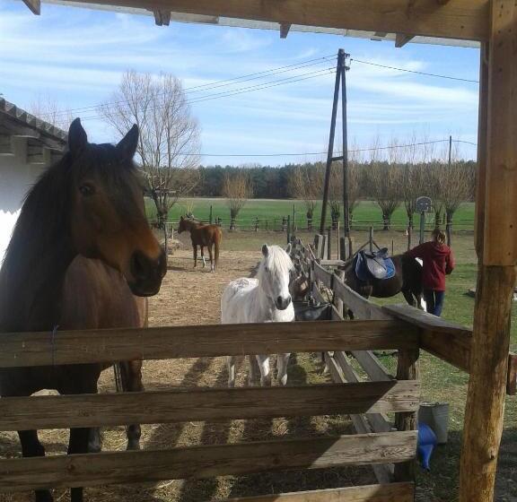 ガーデンビューファミリールーム, Lazy Days