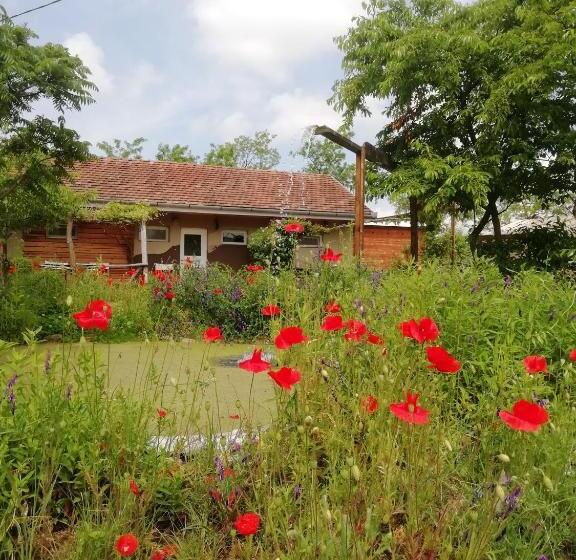 シングルベーシックルーム, Lazy Days