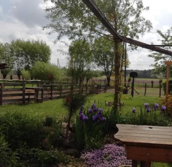 シングルベーシックルーム, Lazy Days