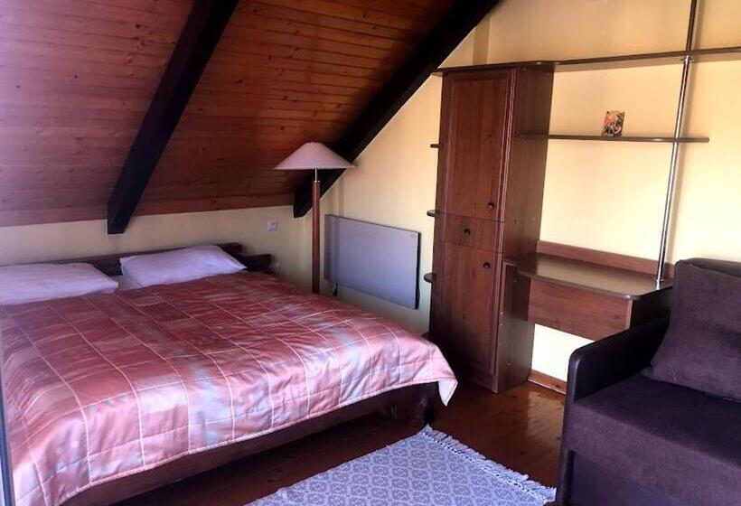 غرفة قياسية مزوَّدة بشُرفة, Prutets Guest House