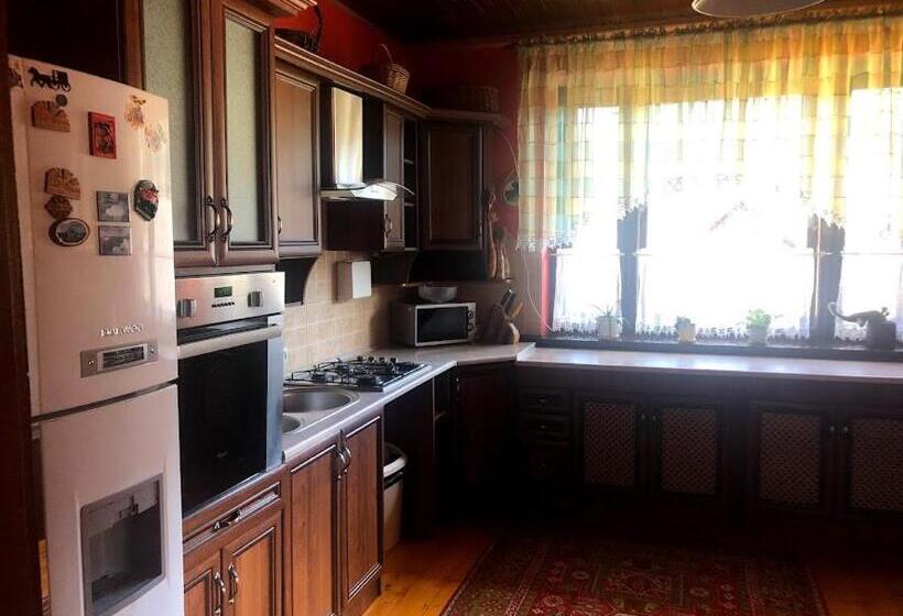 ویلای 1 خوابه, Prutets Guest House