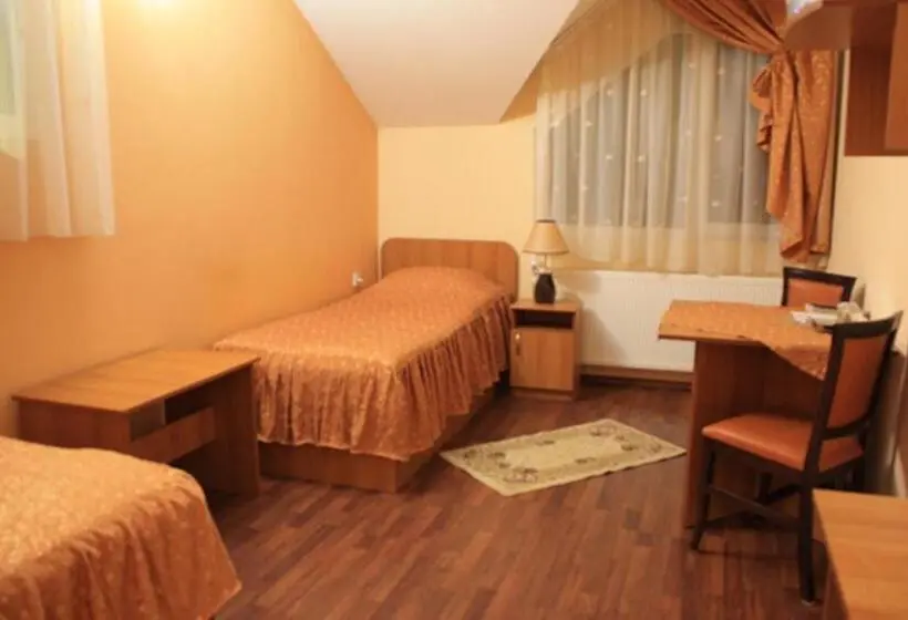 Standard Room, Pensiunea Bachus