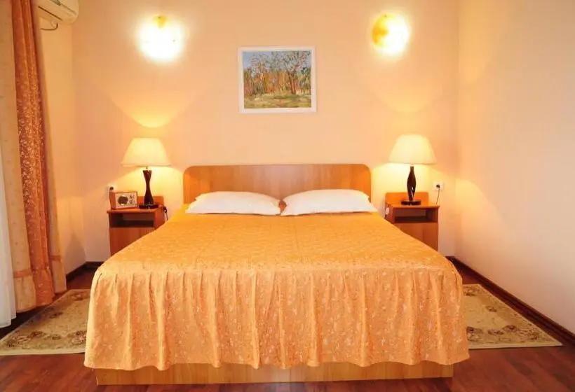 1 Bedroom Apartment with Balcony, Pensiunea Bachus