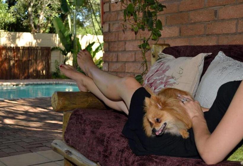 带大床的标准间, Cycas Guest House