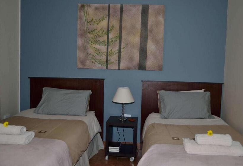 带大床的标准间, Cycas Guest House