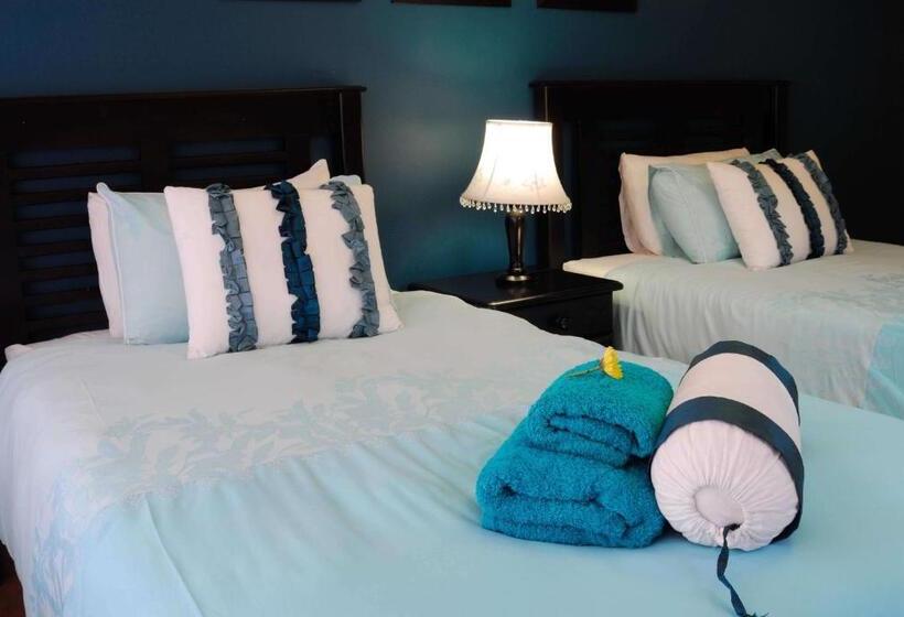 带大床的标准间, Cycas Guest House