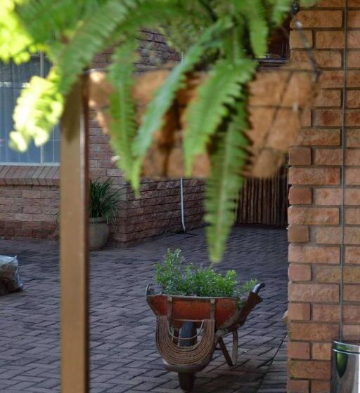 标准间, Cycas Guest House