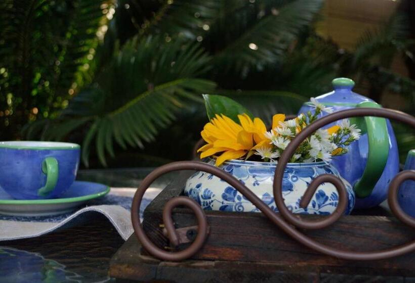 标准间, Cycas Guest House