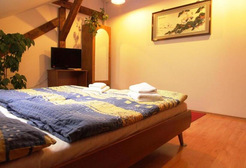 غرفة قياسية, Penzion Brahama