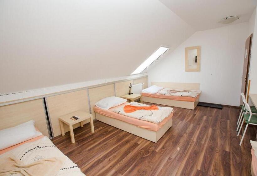 اتاق اکونومی با حمام مشترک, Penzion Hviezda