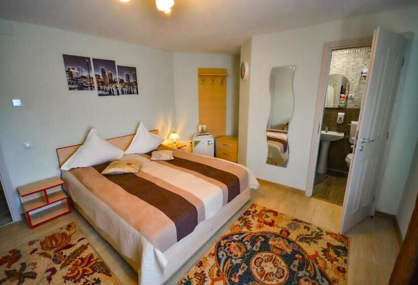 غرفة قياسية, Pensiunea Caro