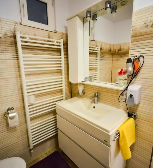 غرفة قياسية فردية, Pensiunea Caro