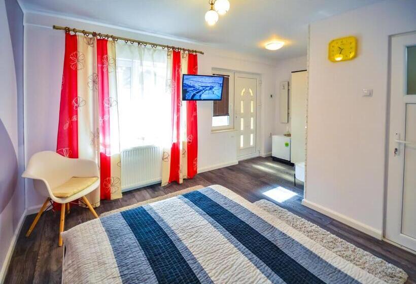 غرفة قياسية فردية, Pensiunea Caro