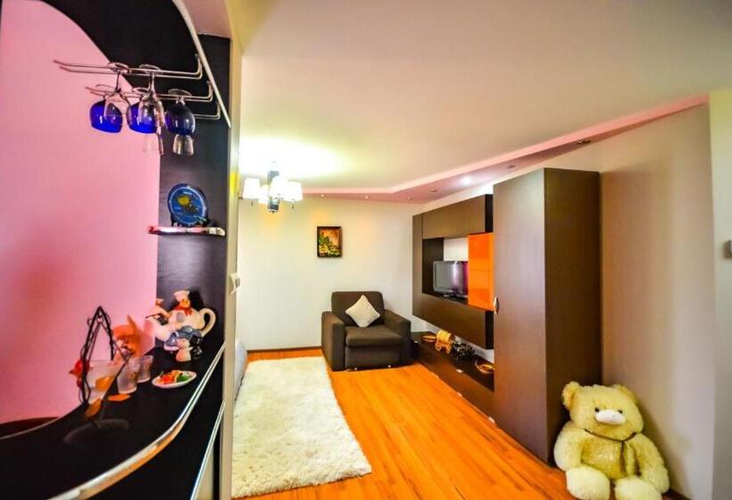 إستوديو قياسى, Pensiunea Caro