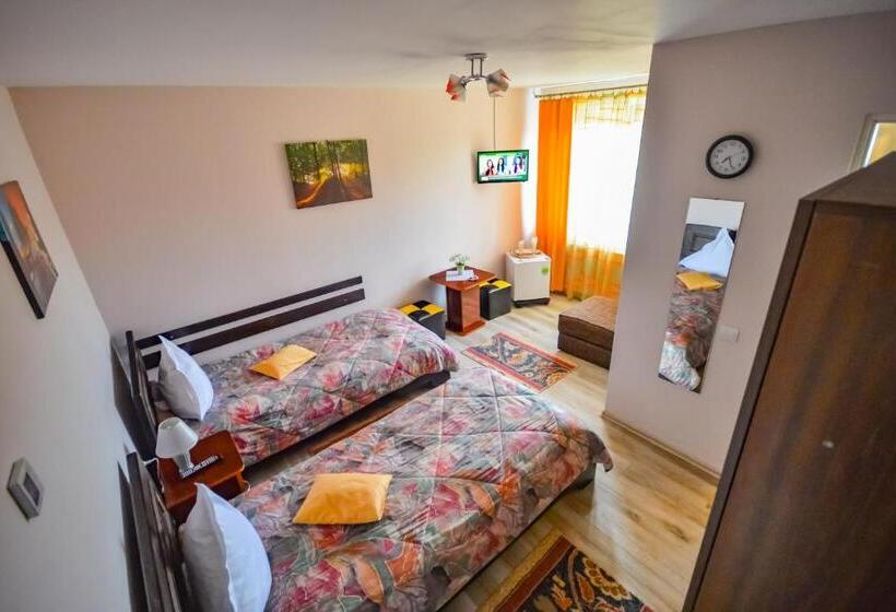 غرفة قياسية, Pensiunea Caro