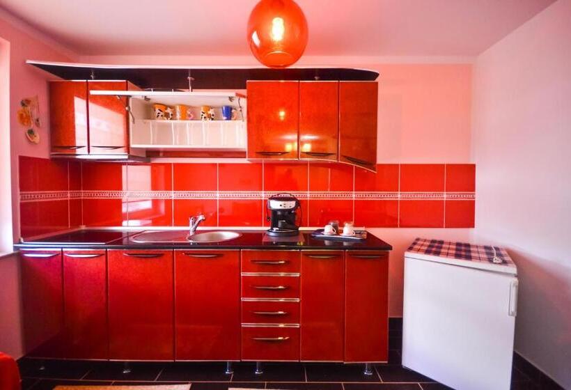 إستوديو قياسى, Pensiunea Caro