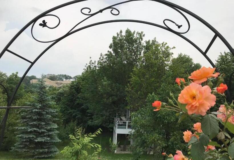 חדר סופריור, Rapsodia Pension