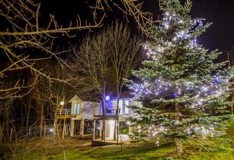 חדר דחוקס עם מיטת קינג, Rapsodia Pension