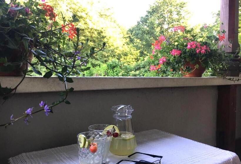 חדר דלוקס לשלושה, Rapsodia Pension