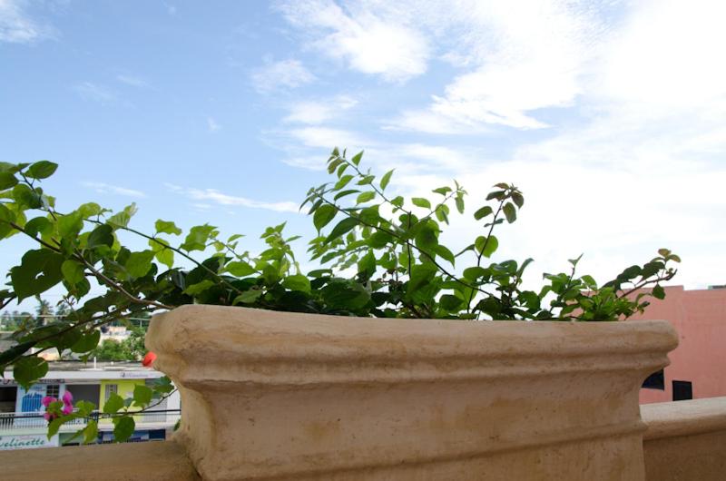 استودیوی استاندارد, Apartahotel Guaraguao