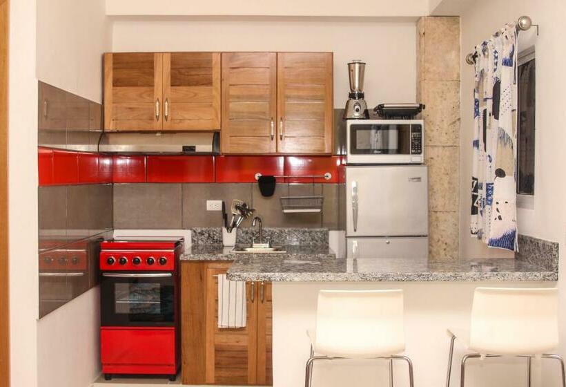 استودیوی استاندارد, Apartahotel Guaraguao