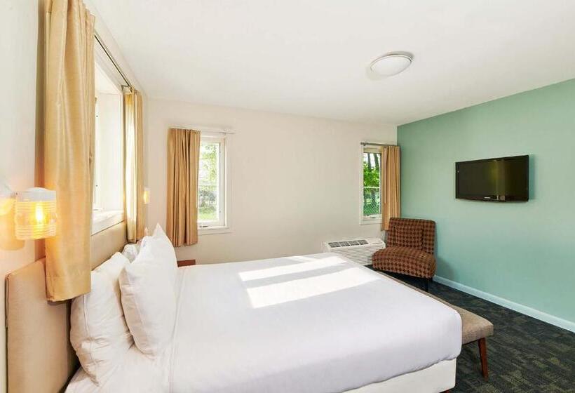 חדר דלוקס, Greenporter