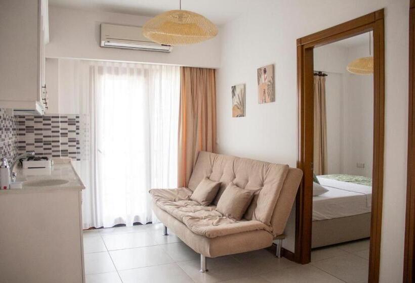 إستوديو قياسى, Nova Aparts