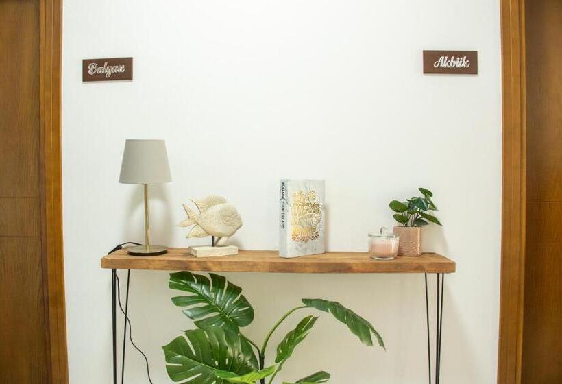 جناح, Nova Aparts