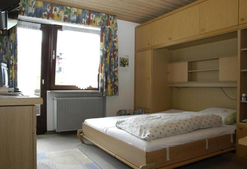 Студия Стандарт, Gästehaus Winsauer