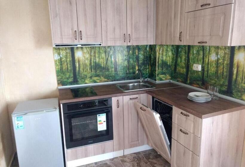 استودیوی استاندارد با چشم‌انداز دریا, Morska Zvezda Guest House