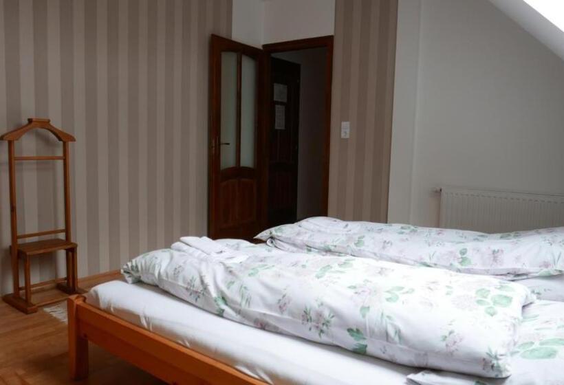 חדר סופריור, Paulay Borház és Vendégház