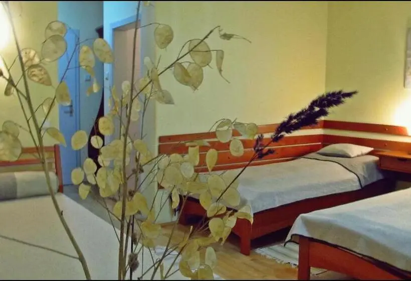 اتاق استاندارد چهار تخته, The Zen Hostel Posticum