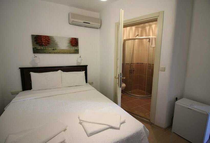 اتاق اکونومی, Alize Otel