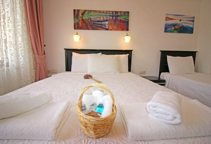 اتاق استاندارد سه نفره, Alize Otel