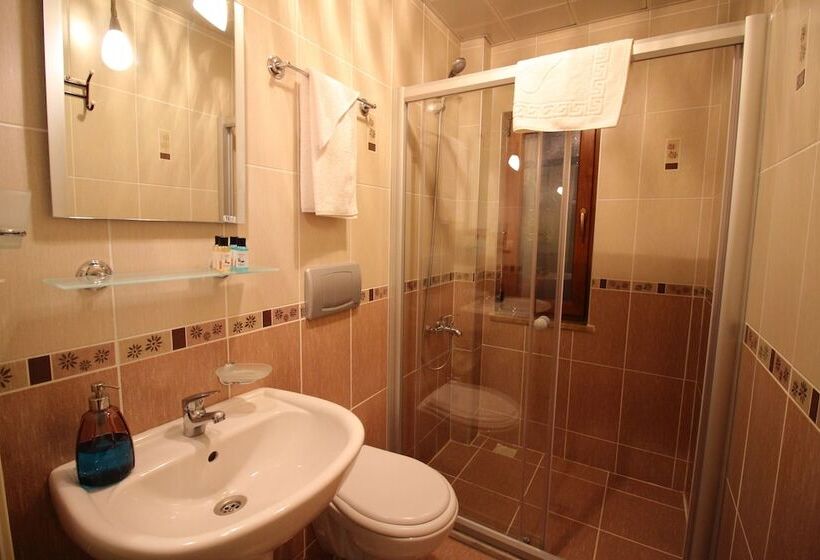 اتاق اکونومی, Alize Otel