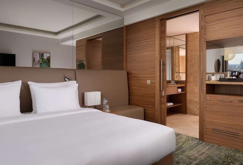 اتاق استاندارد با چشمانداز شهر, Radisson Blu Olympiyskiy