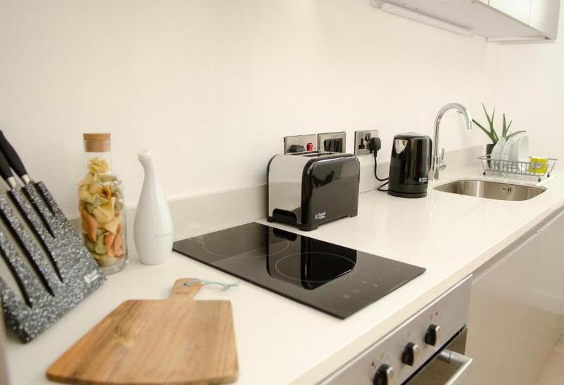 آپارتمان دوبلکس 1 خوابه, Terlon Apartments