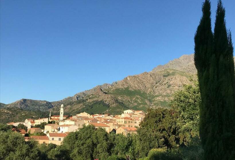 标准间, Au Pied Des Oliviers