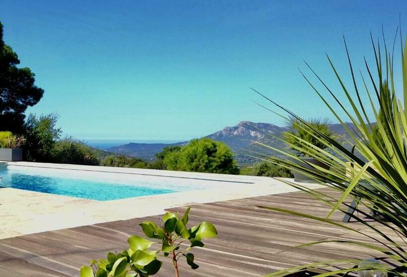 标准间, Au Pied Des Oliviers