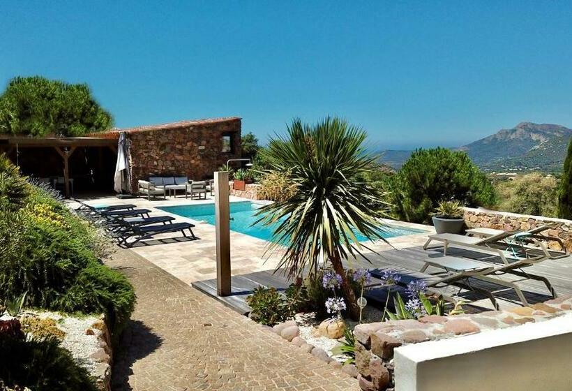 标准间, Au Pied Des Oliviers