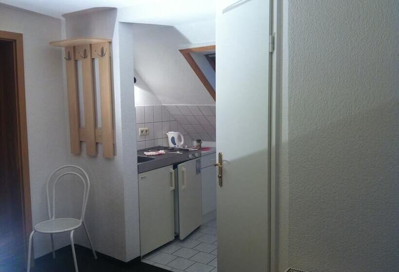 Номер Стандарт, Pension Borna