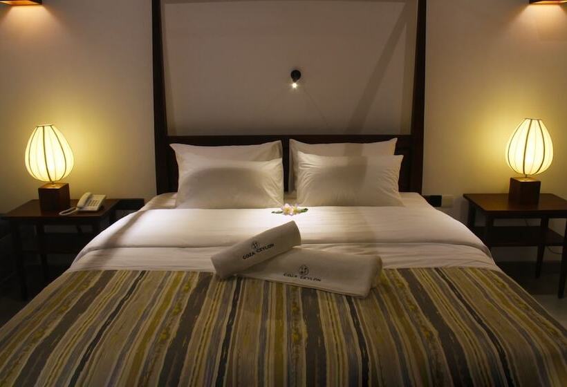 수피리어 룸, Coza Ceylon